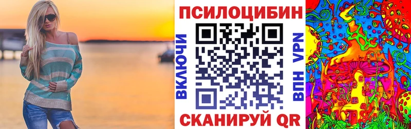 Псилоцибиновые грибы Psilocybine cubensis  Верхний Уфалей 